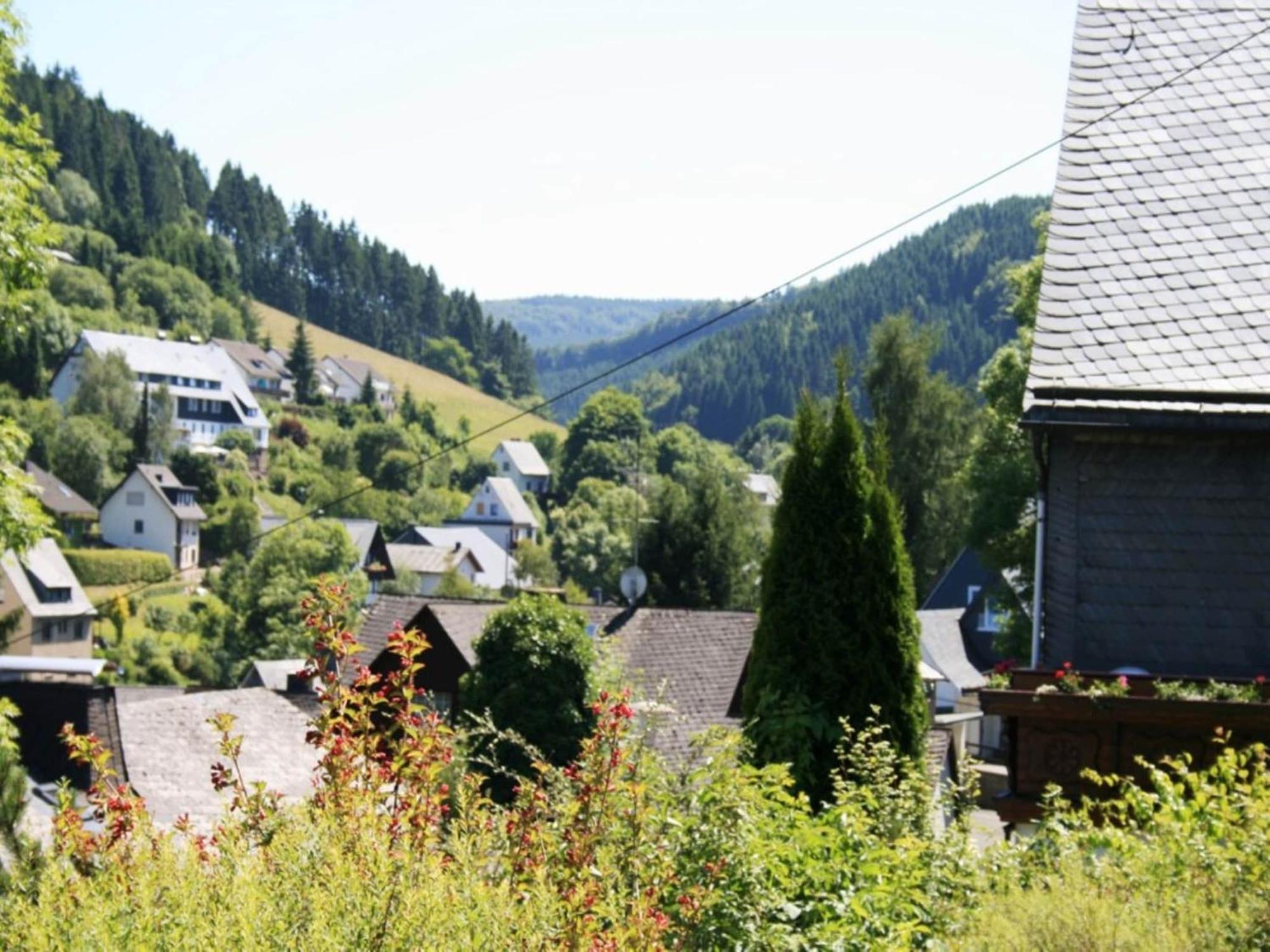 Cosy Apartment In Schwalefeld Near Willingen With Private Terrace Ngoại thất bức ảnh