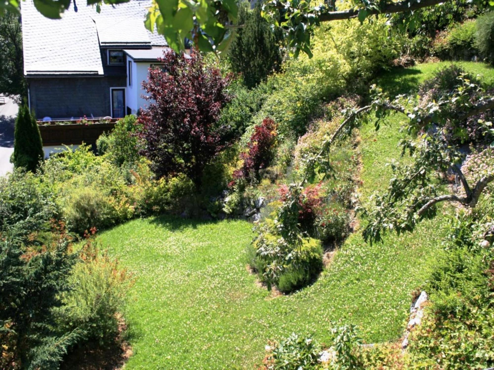 Cosy Apartment In Schwalefeld Near Willingen With Private Terrace Ngoại thất bức ảnh