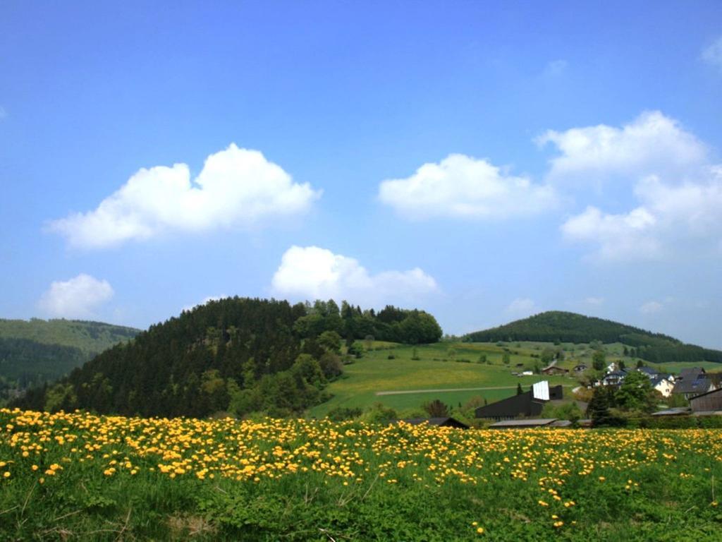Cosy Apartment In Schwalefeld Near Willingen With Private Terrace Ngoại thất bức ảnh